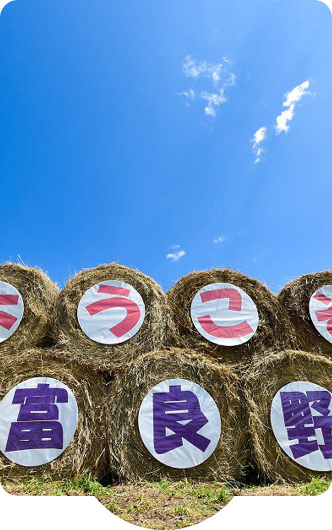 花と香りと味覚のまち 中富良野町 ふるさと納税
