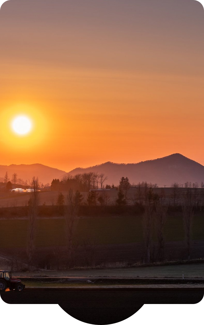 花と香りと味覚のまち 中富良野町 ふるさと納税