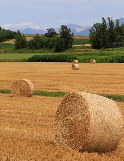 中富良野町ってどんなところ?