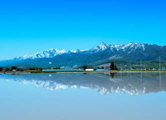 花と香りと味覚のまち 中富良野町